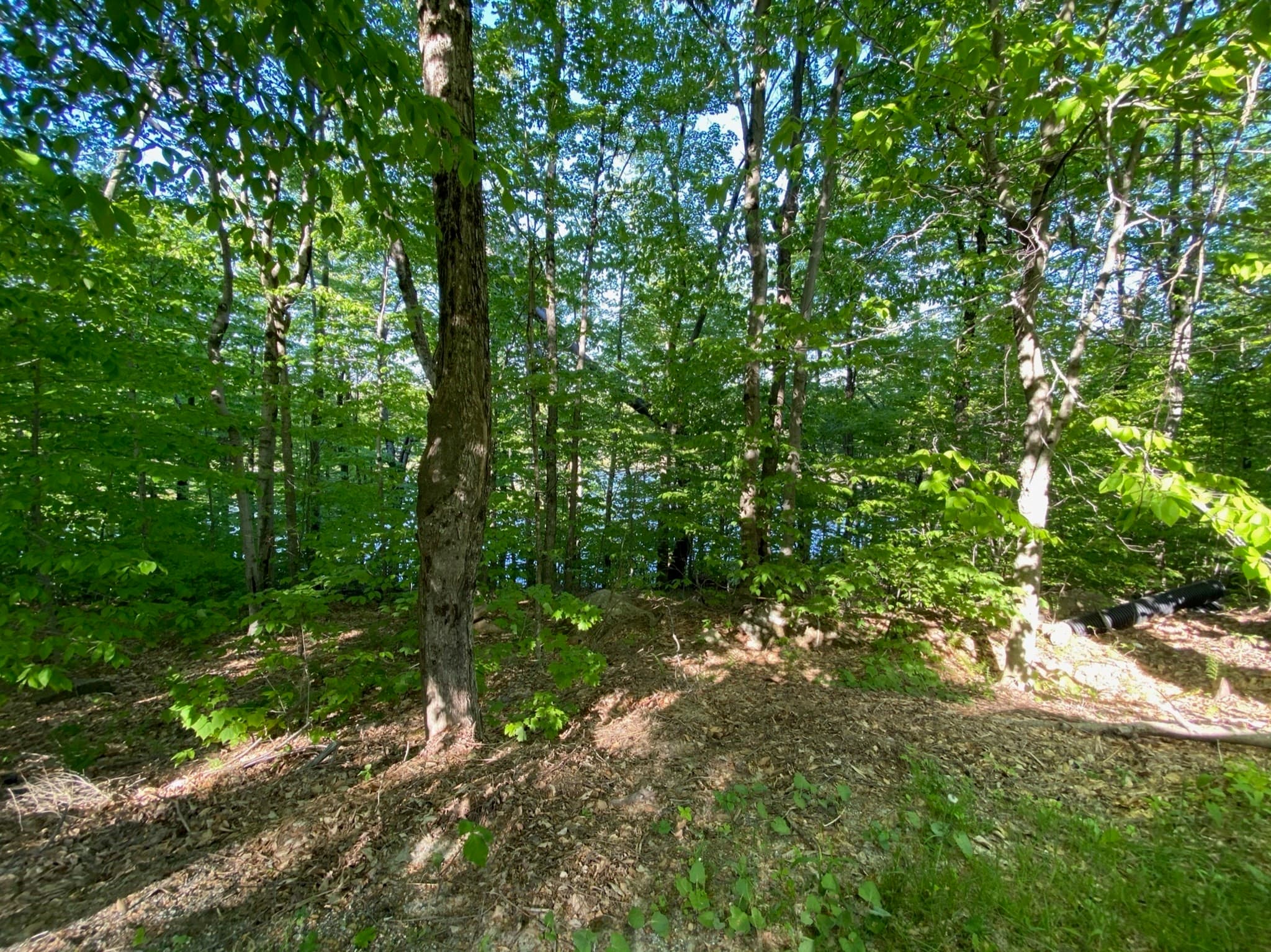Residential at parcel 216 King Richard Dr, Becket MA 01223, photo 4 of 5