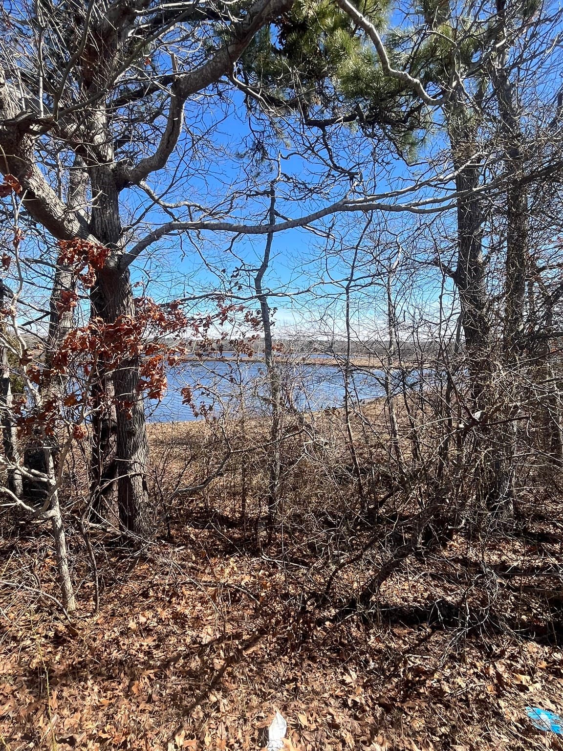 Commercial Sale at 254 Shore Road, Bourne MA 02532, photo 10 of 10