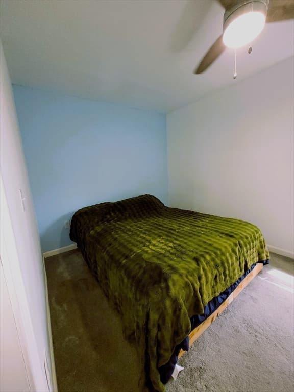 50 Root Pl, Pittsfield MA 01201 photo 13