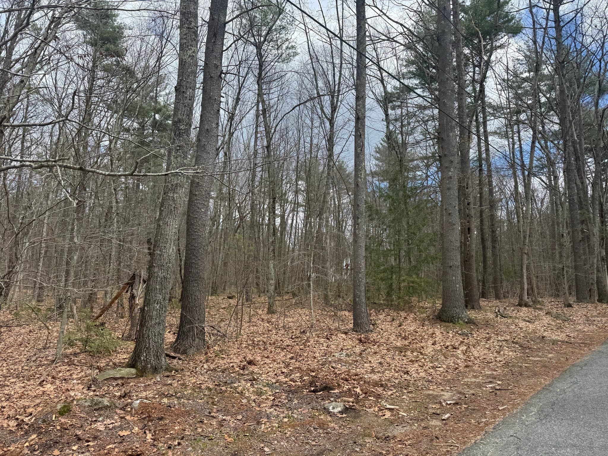 Residential at Lot 3 Murphy Rd., Barre MA 01005, photo 6 of 9