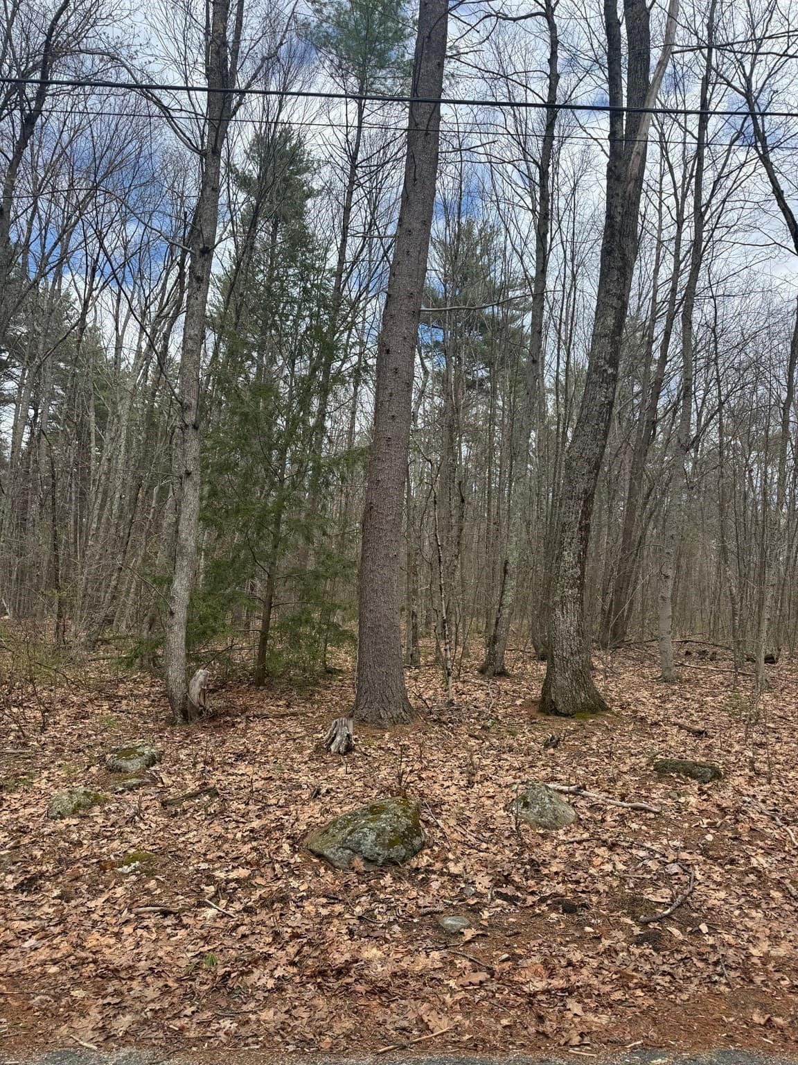 Residential at Lot 3 Murphy Rd., Barre MA 01005, photo 7 of 9