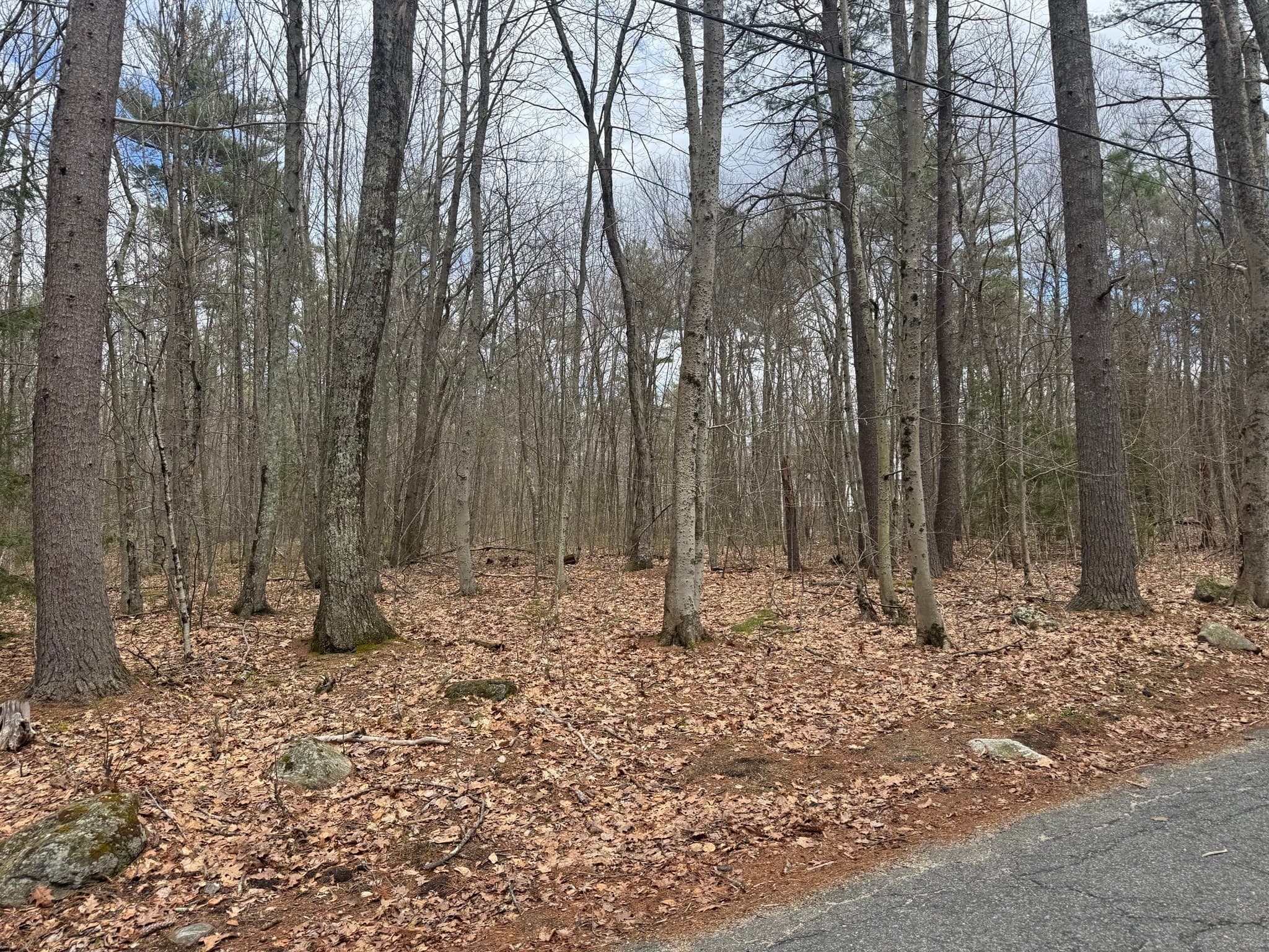 Residential at Lot 3 Murphy Rd., Barre MA 01005, photo 8 of 9