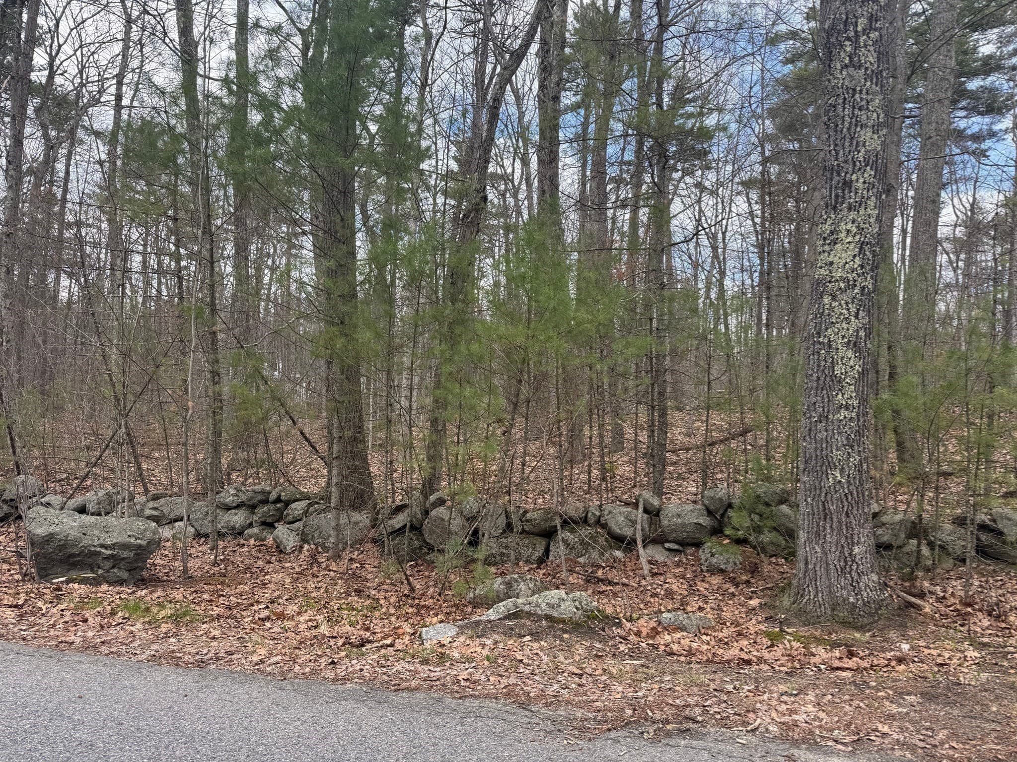 Residential at Lot 4 Murphy And Williamsville Roads, Barre MA 01005, photo 7 of 12