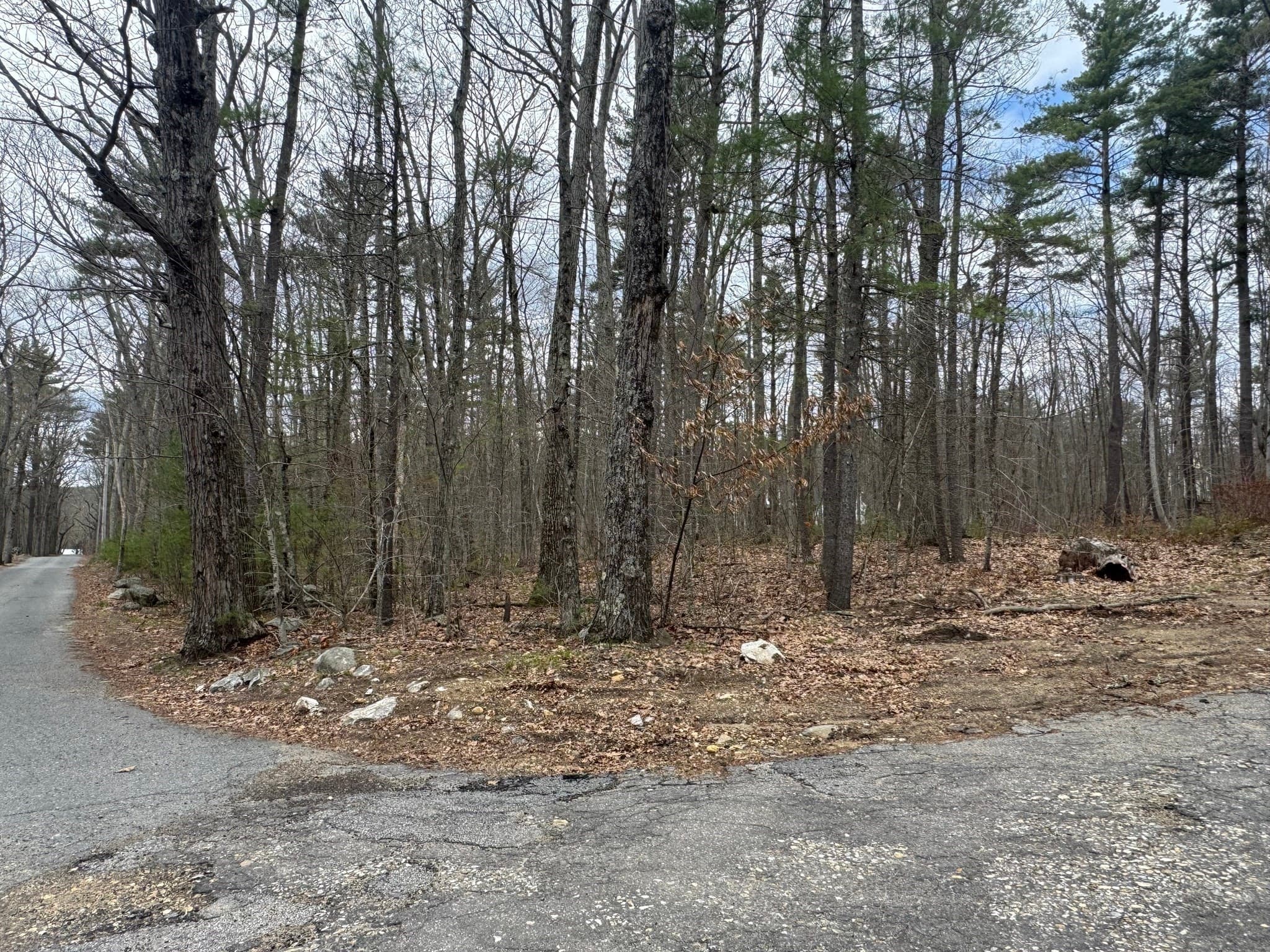 Lot 4 Murphy And Williamsville Roads, Barre MA 01005
