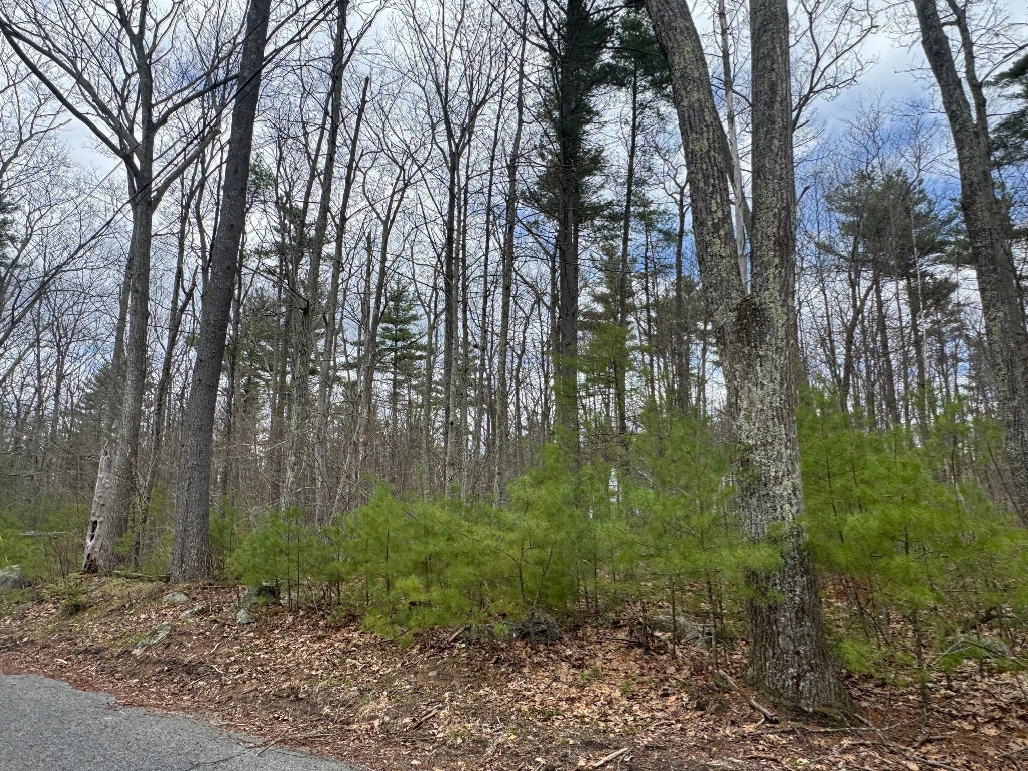 Residential at Lot 4 Murphy And Williamsville Roads, Barre MA 01005, photo 10 of 12