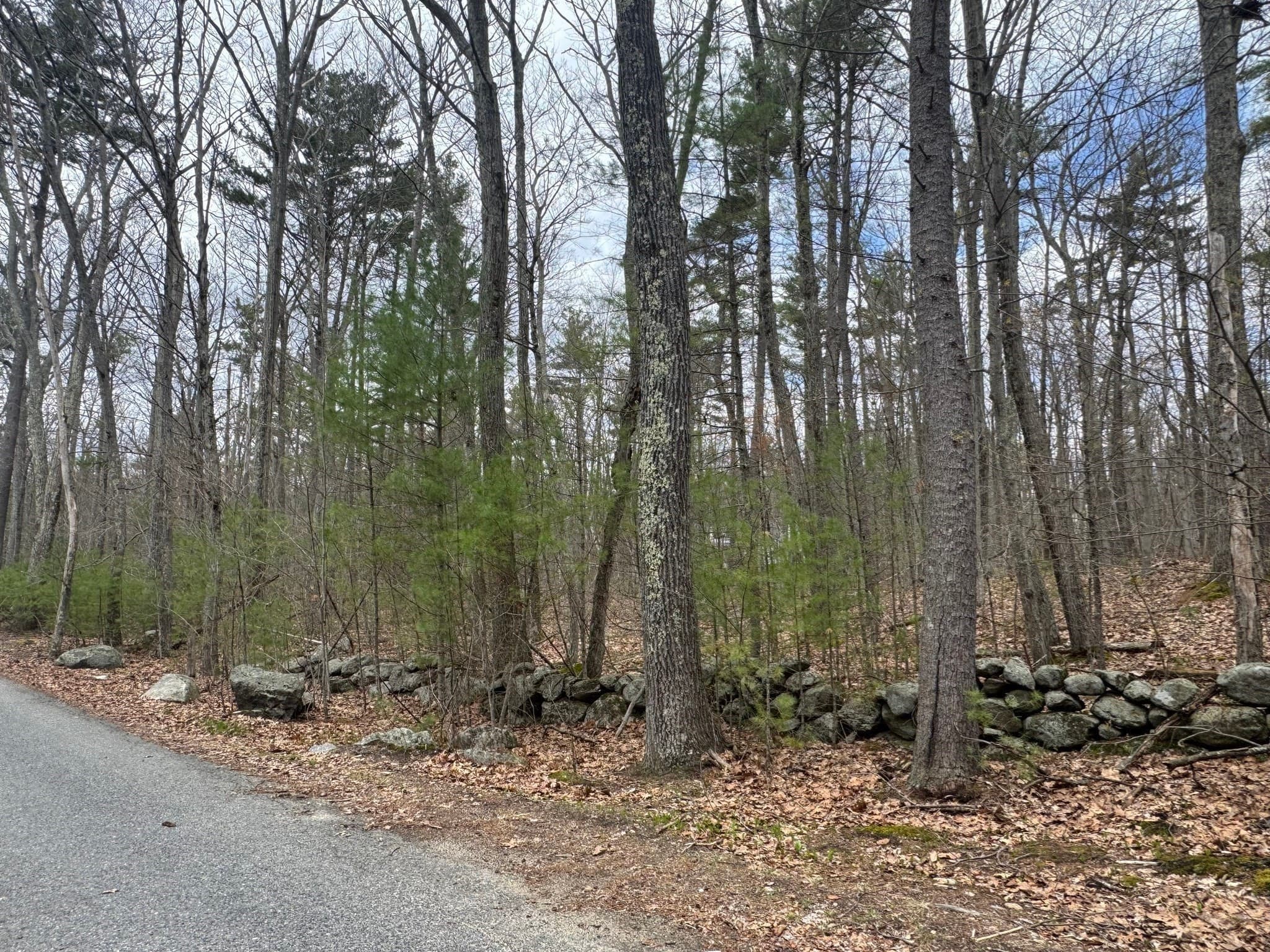 Residential at Lot 4 Murphy And Williamsville Roads, Barre MA 01005, photo 11 of 12