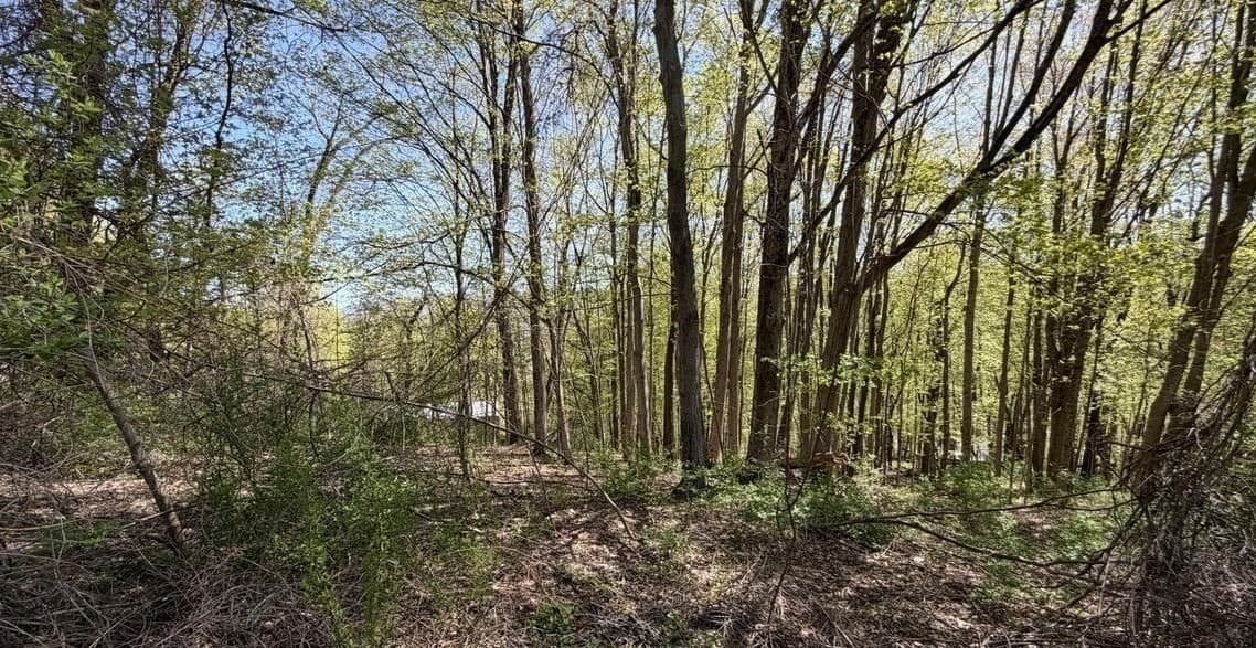 Residential at Lots 2A-3A Reservoir Road, North Adams MA 01247, photo 2 of 5