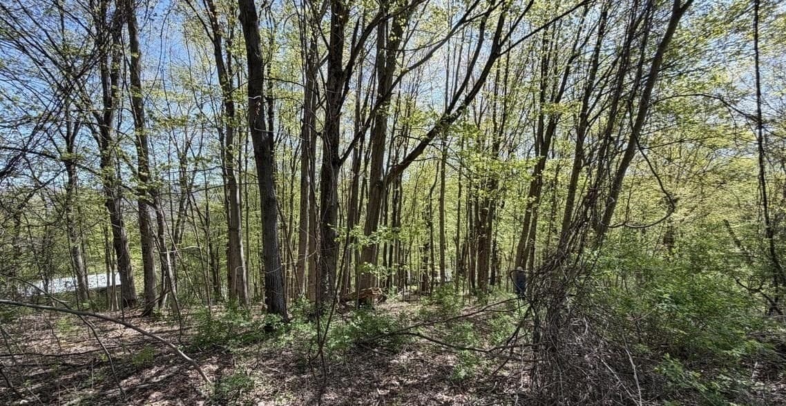 Lots 2A-3A Reservoir Road, North Adams MA 01247