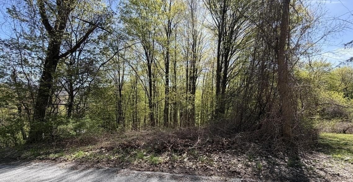 Residential at Lots 2A-3A Reservoir Road, North Adams MA 01247, photo 5 of 5