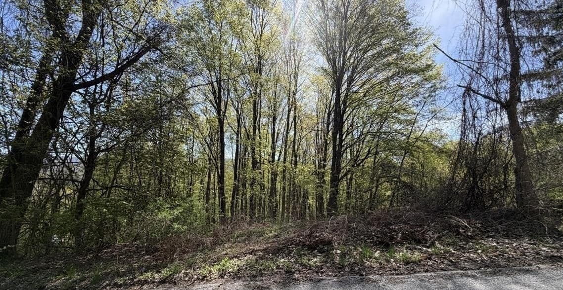 Residential at Lots 2A-3A Reservoir Road, North Adams MA 01247, photo 4 of 5