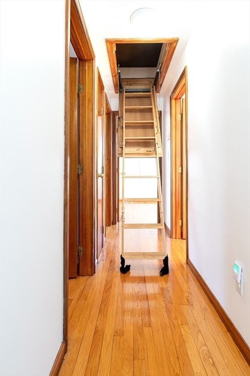2 Marigold Ave, Wellesley MA 02482 photo 17
