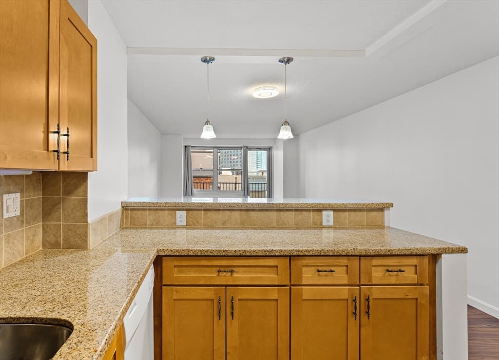 Condominium at 151 Tremont St # 11U, Boston MA 02111, photo 6 of 39