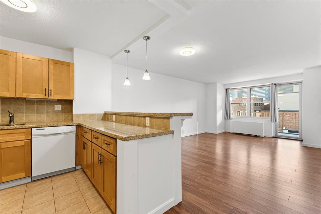Condominium at 151 Tremont St # 11U, Boston MA 02111, photo 3 of 39