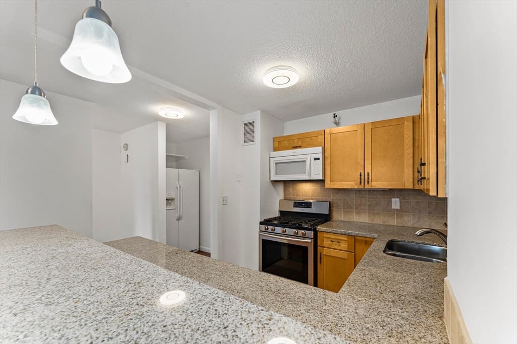 Condominium at 151 Tremont St # 11U, Boston MA 02111, photo 8 of 39