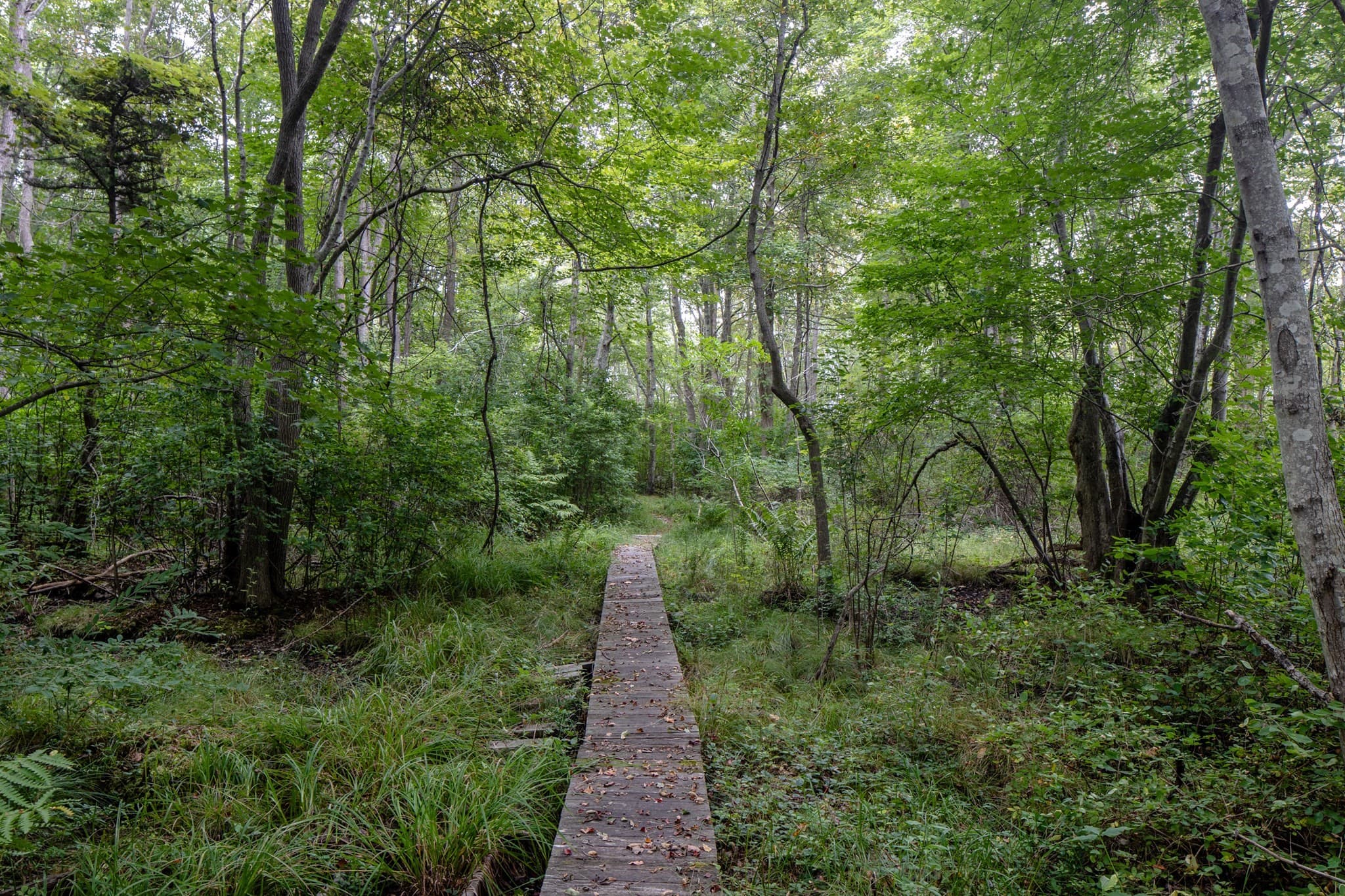 Residential at 0 Neds Point Rd Lot 104, Mattapoisett MA 02739, photo 8 of 11