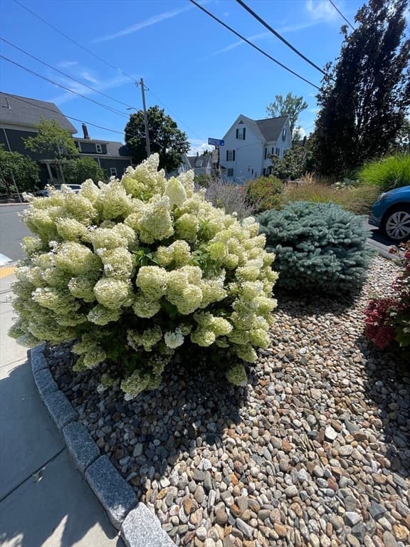 142 Pleasant Street # 12, Winthrop MA 02152 photo 2