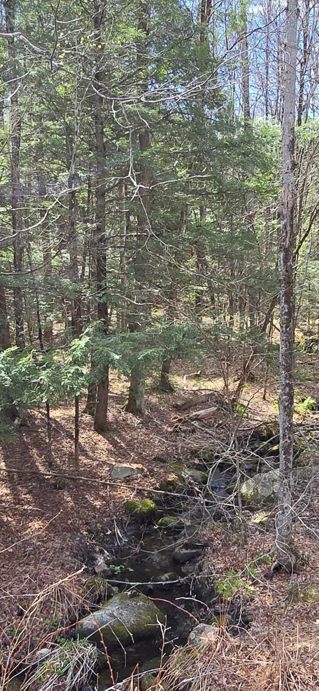 Residential at 360 Jacob's Ladder Rd., Becket MA 01223, photo 2 of 9