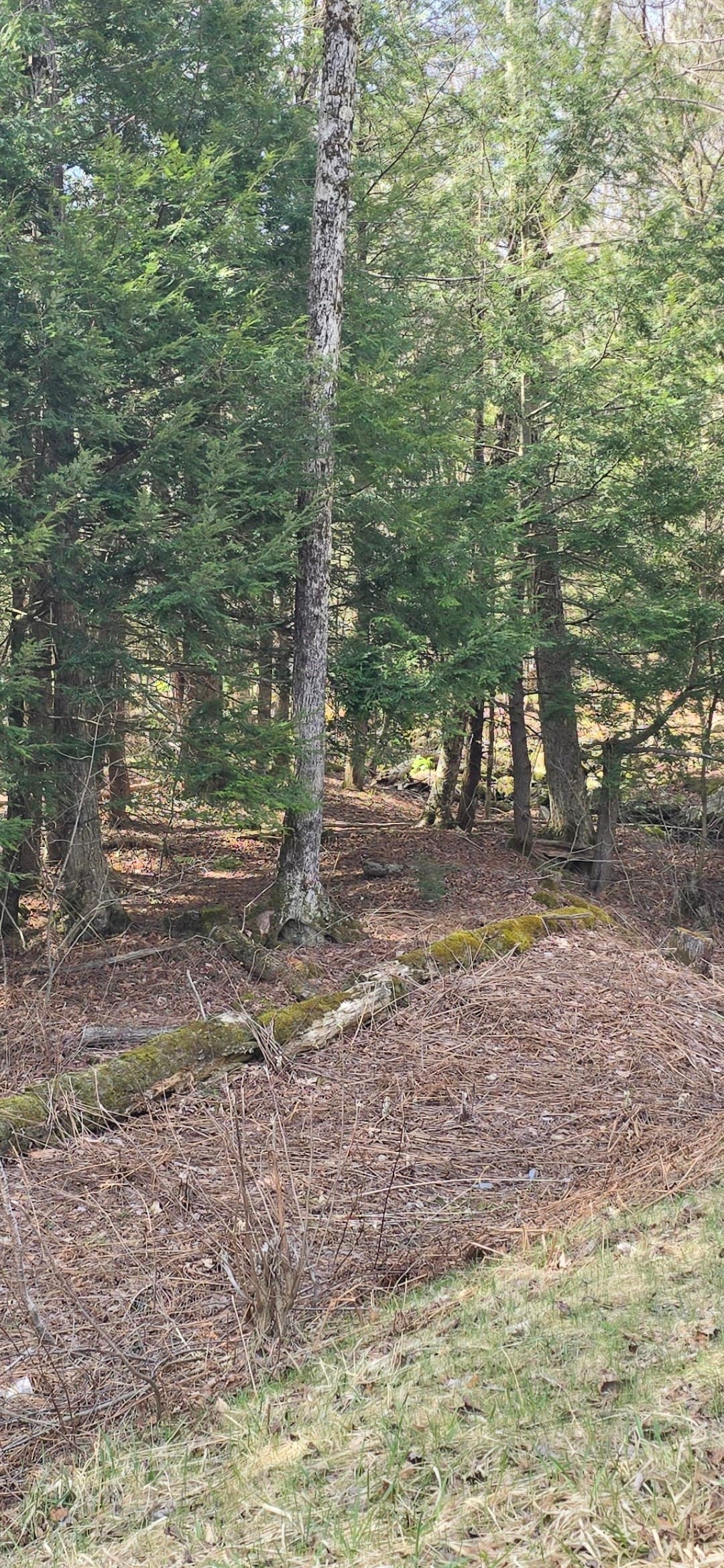 Residential at 360 Jacob's Ladder Rd., Becket MA 01223, photo 6 of 9