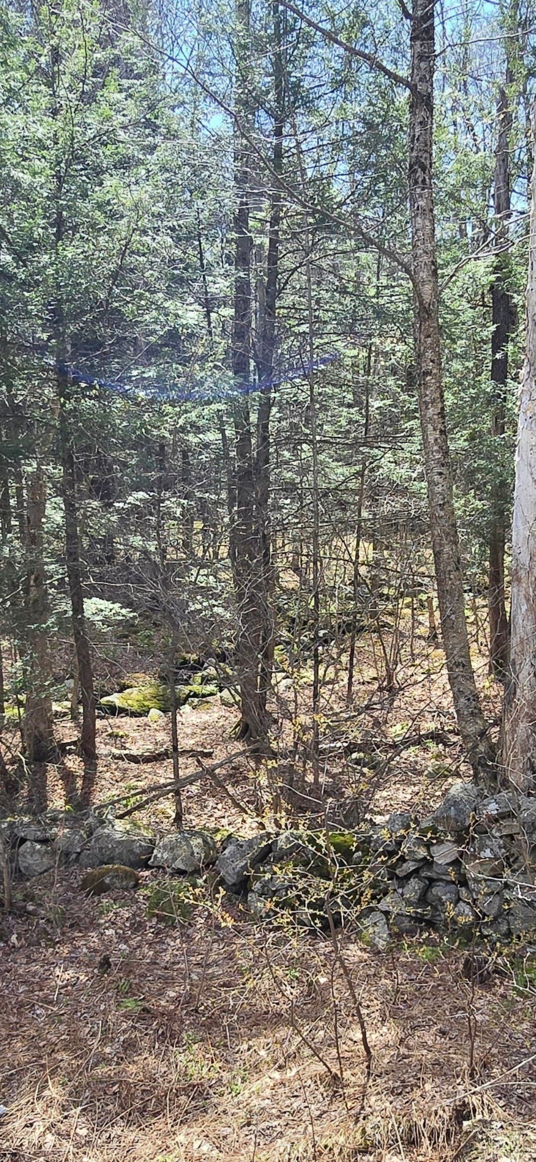 Residential at 360 Jacob's Ladder Rd., Becket MA 01223, photo 3 of 9