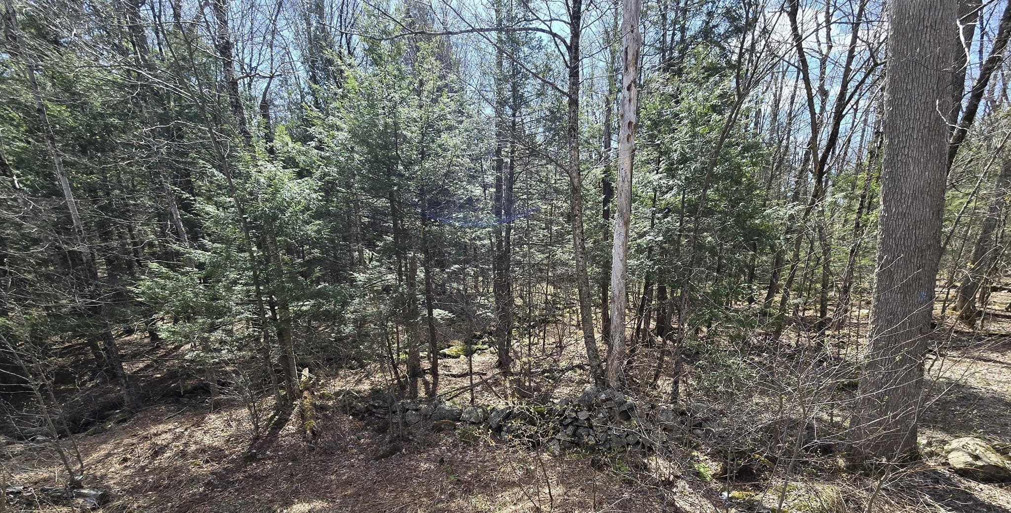 360 Jacob's Ladder Rd., Becket MA 01223