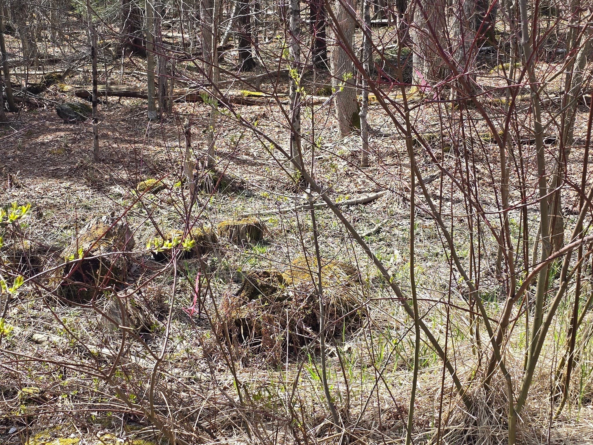 Residential at 360 Jacob's Ladder Rd., Becket MA 01223, photo 5 of 9