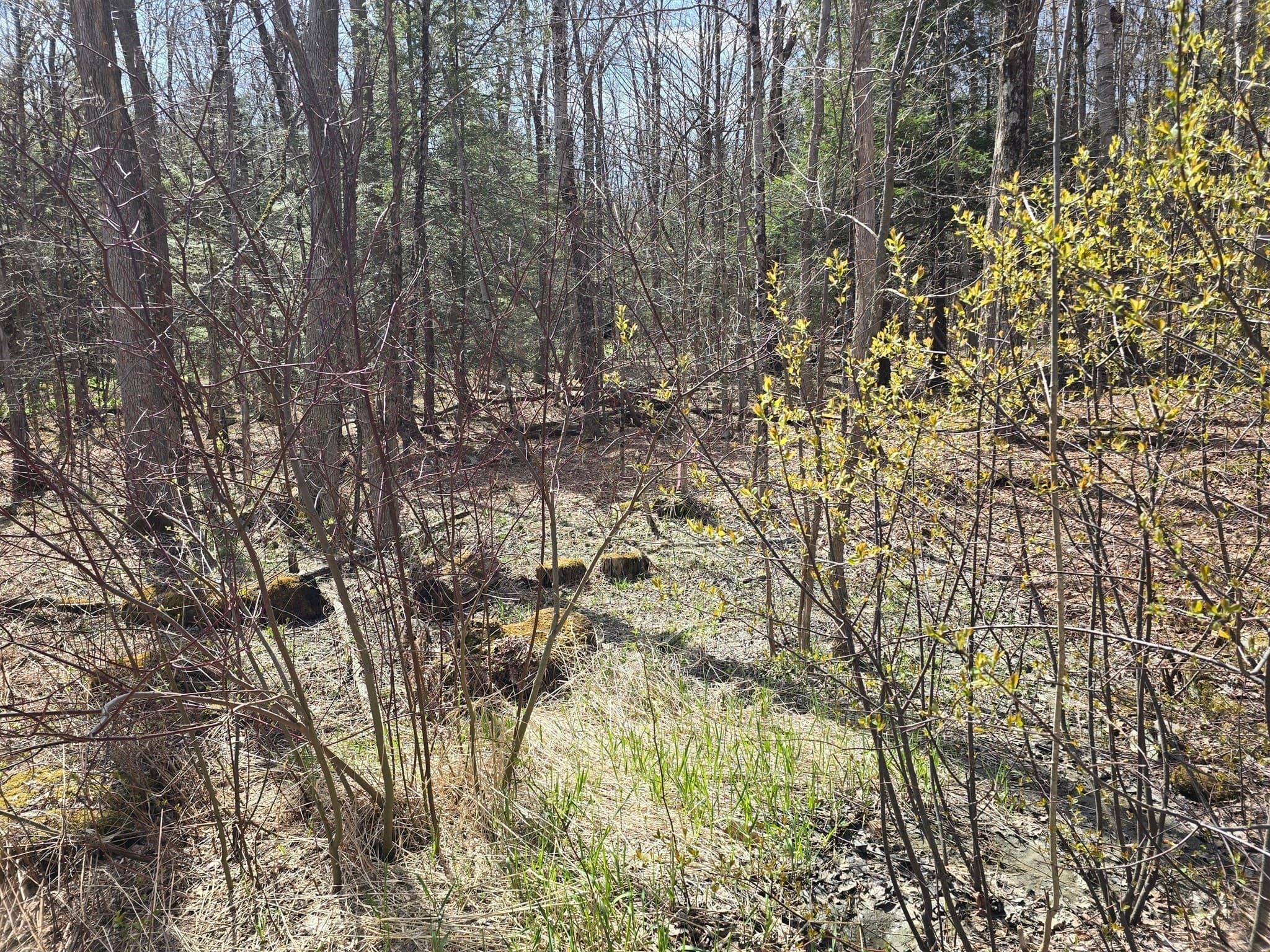 Residential at 360 Jacob's Ladder Rd., Becket MA 01223, photo 4 of 9