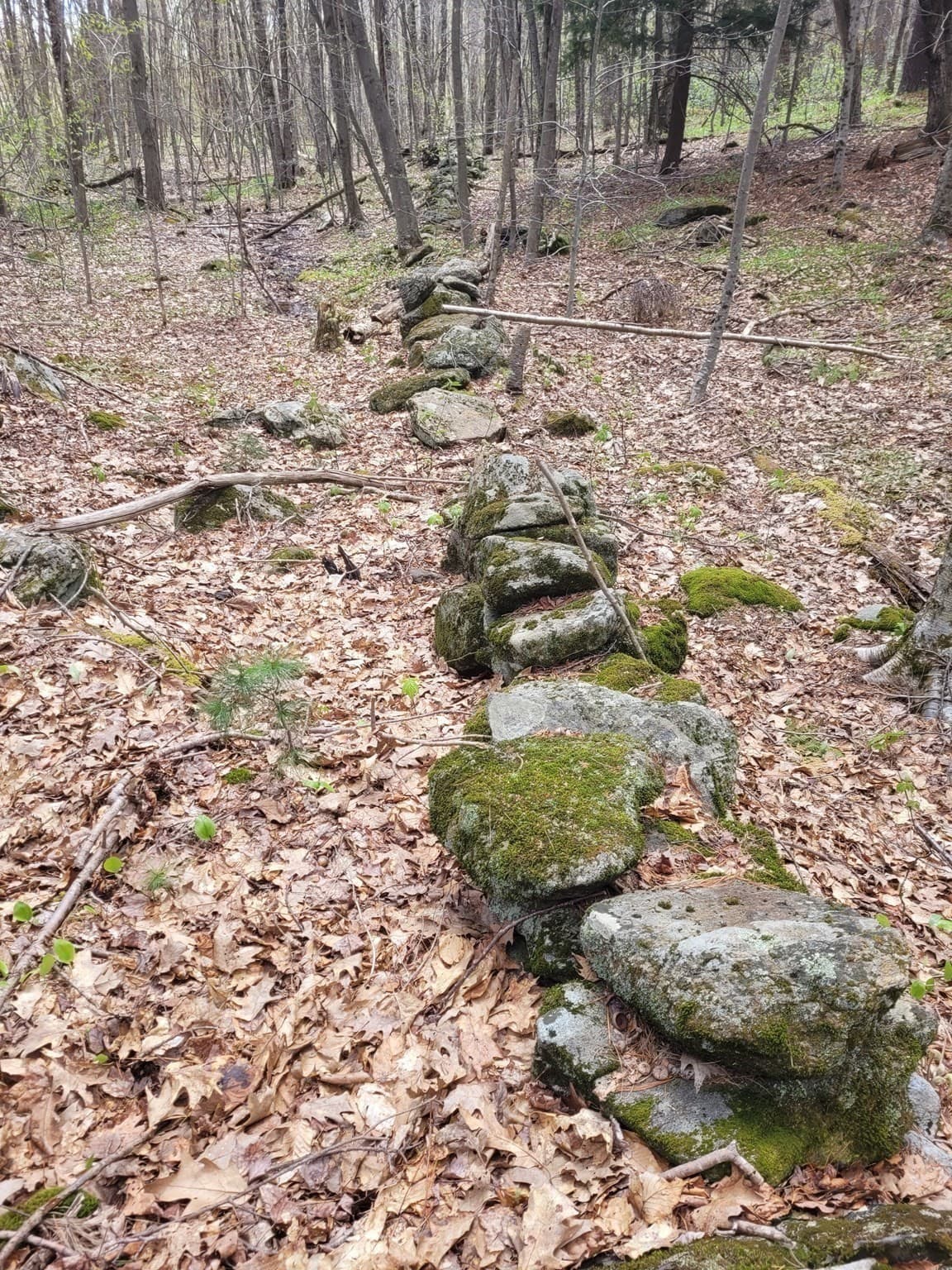 Residential at Lot 3 Town Hill Rd, Sandisfield MA 01255, photo 6 of 11