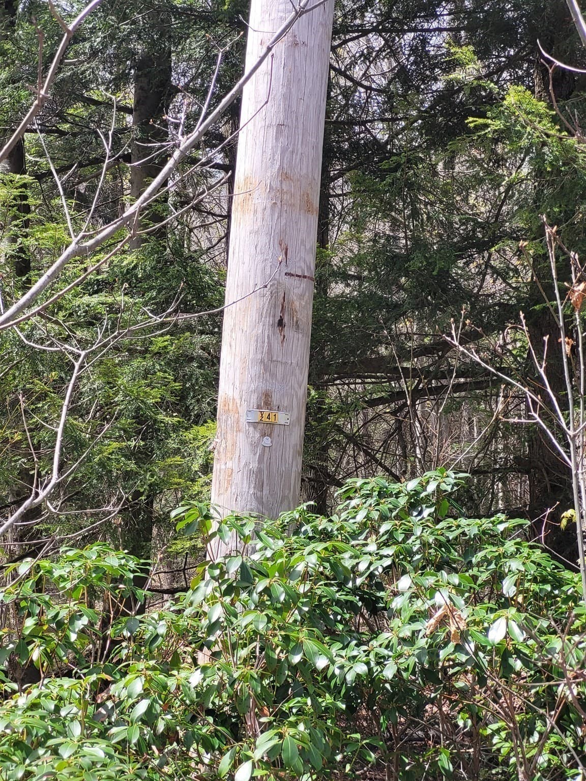 Residential at Lot 3 Town Hill Rd, Sandisfield MA 01255, photo 3 of 11