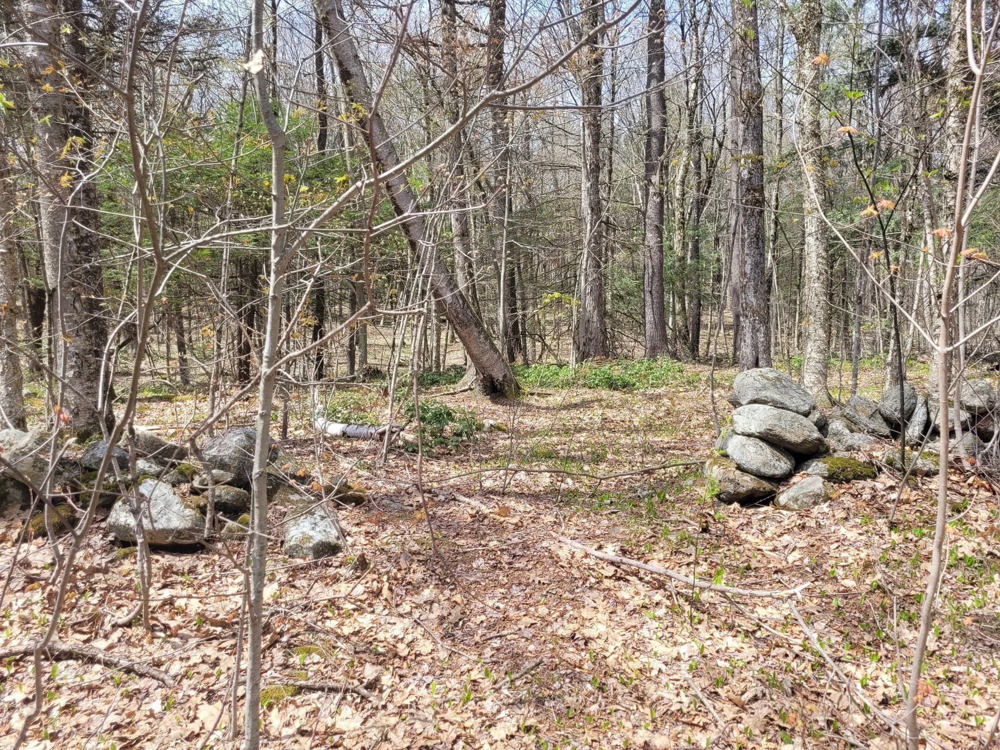 Lot 3 Town Hill Rd, Sandisfield MA 01255
