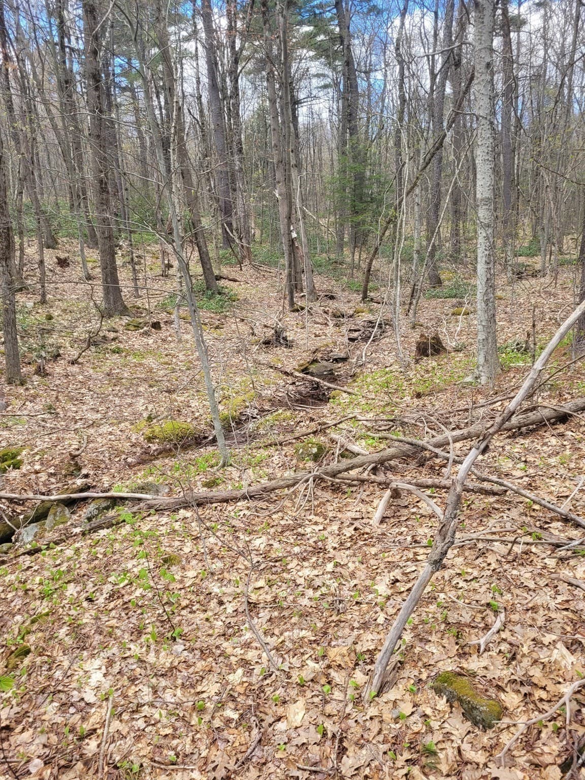 Residential at Lot 3 Town Hill Rd, Sandisfield MA 01255, photo 5 of 11