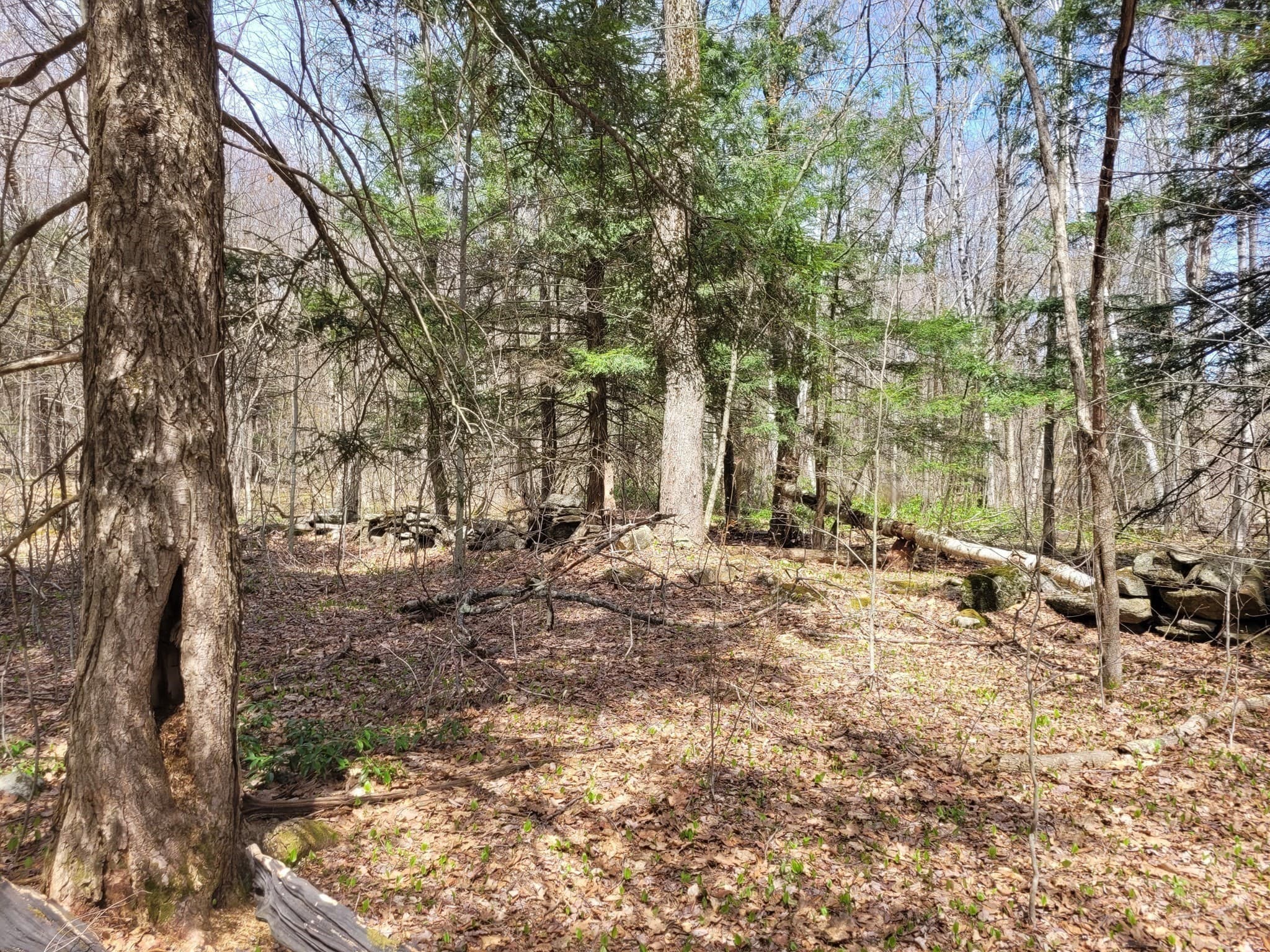 Residential at Lot 3 Town Hill Rd, Sandisfield MA 01255, photo 9 of 11