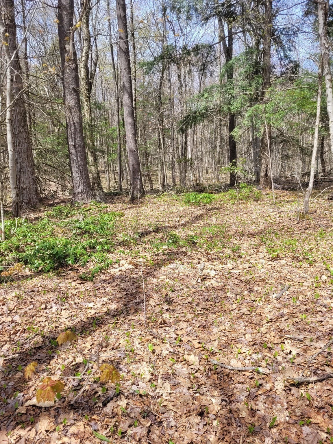 Residential at Lot 3 Town Hill Rd, Sandisfield MA 01255, photo 11 of 11