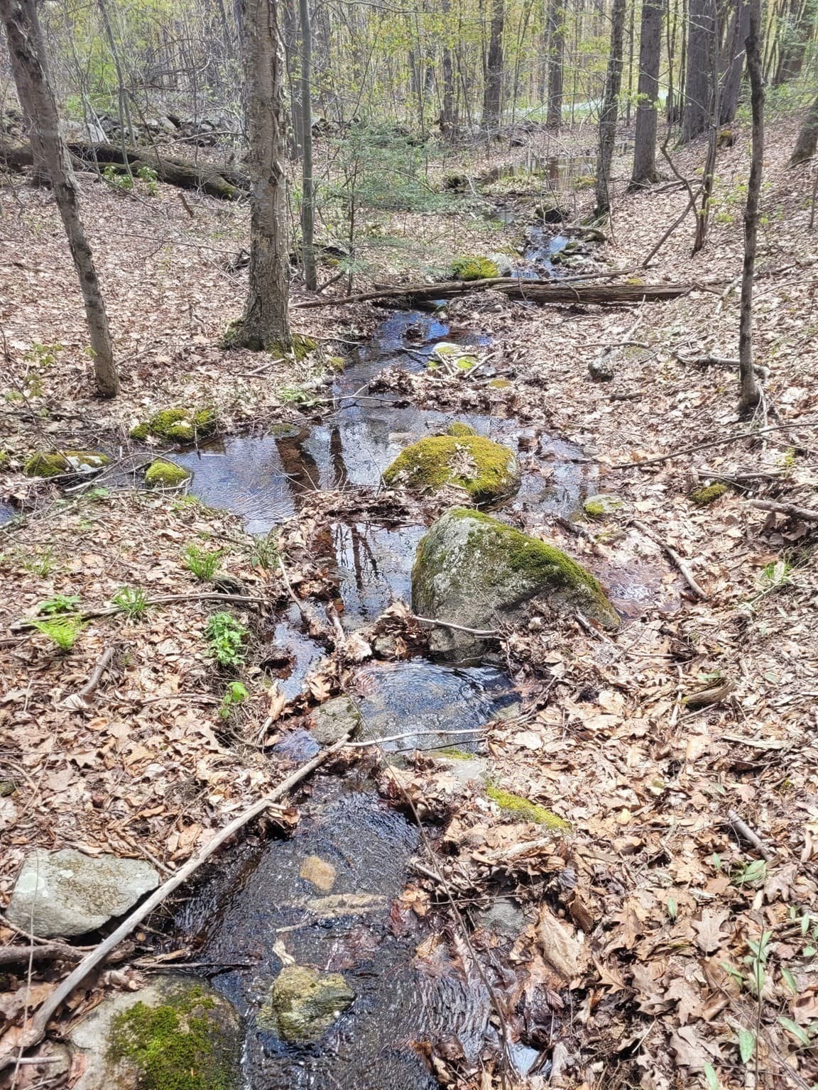 Residential at Lot 3 Town Hill Rd, Sandisfield MA 01255, photo 4 of 11