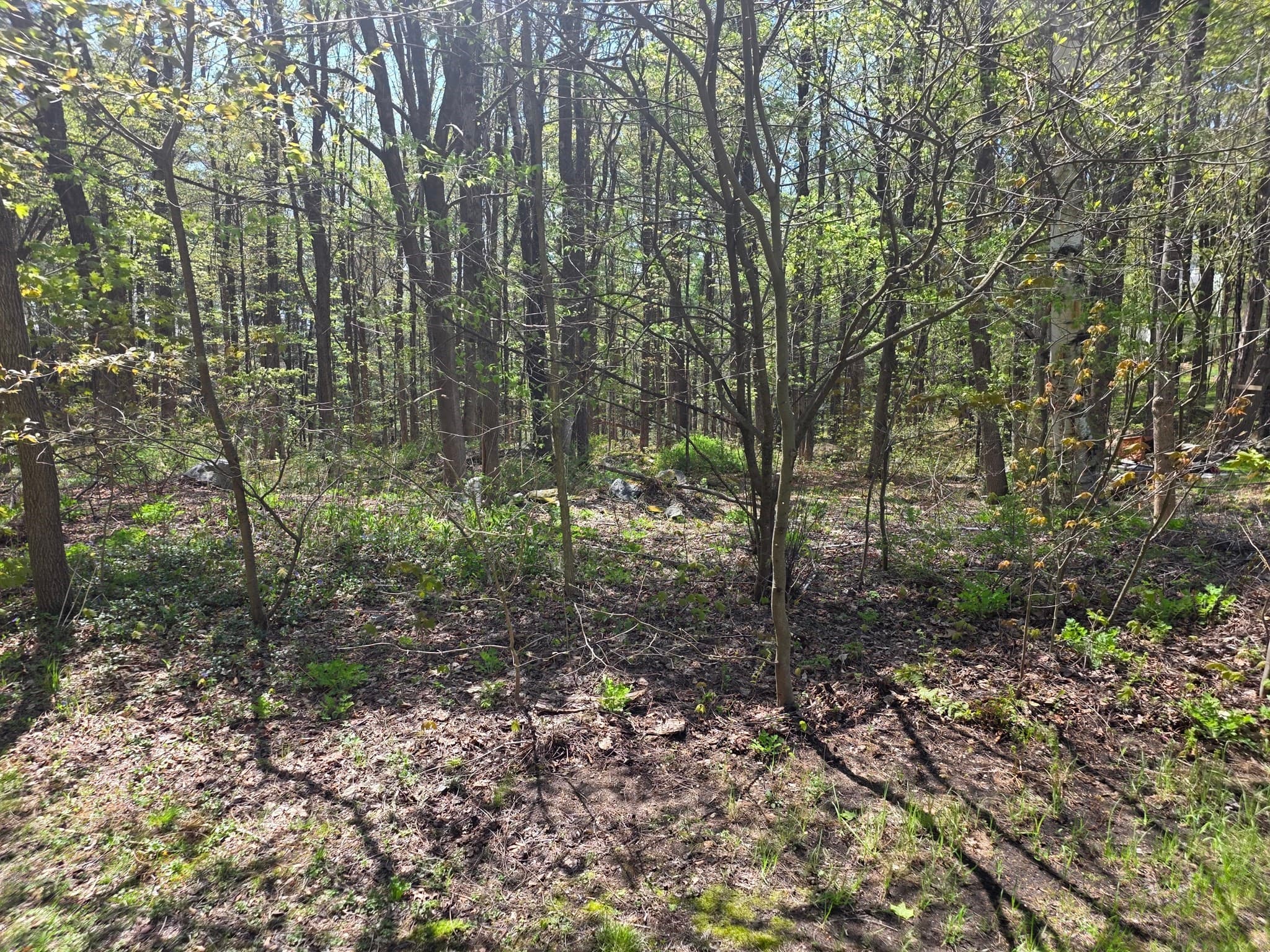 Lot 1 Winter St, Orange MA 01364