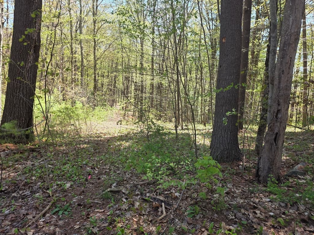 Lot 3 Beacon St, Orange MA 01364 photo 2