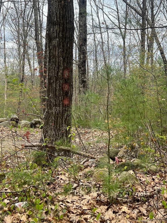 0 Miner Rd, Hardwick MA 01037 photo 2