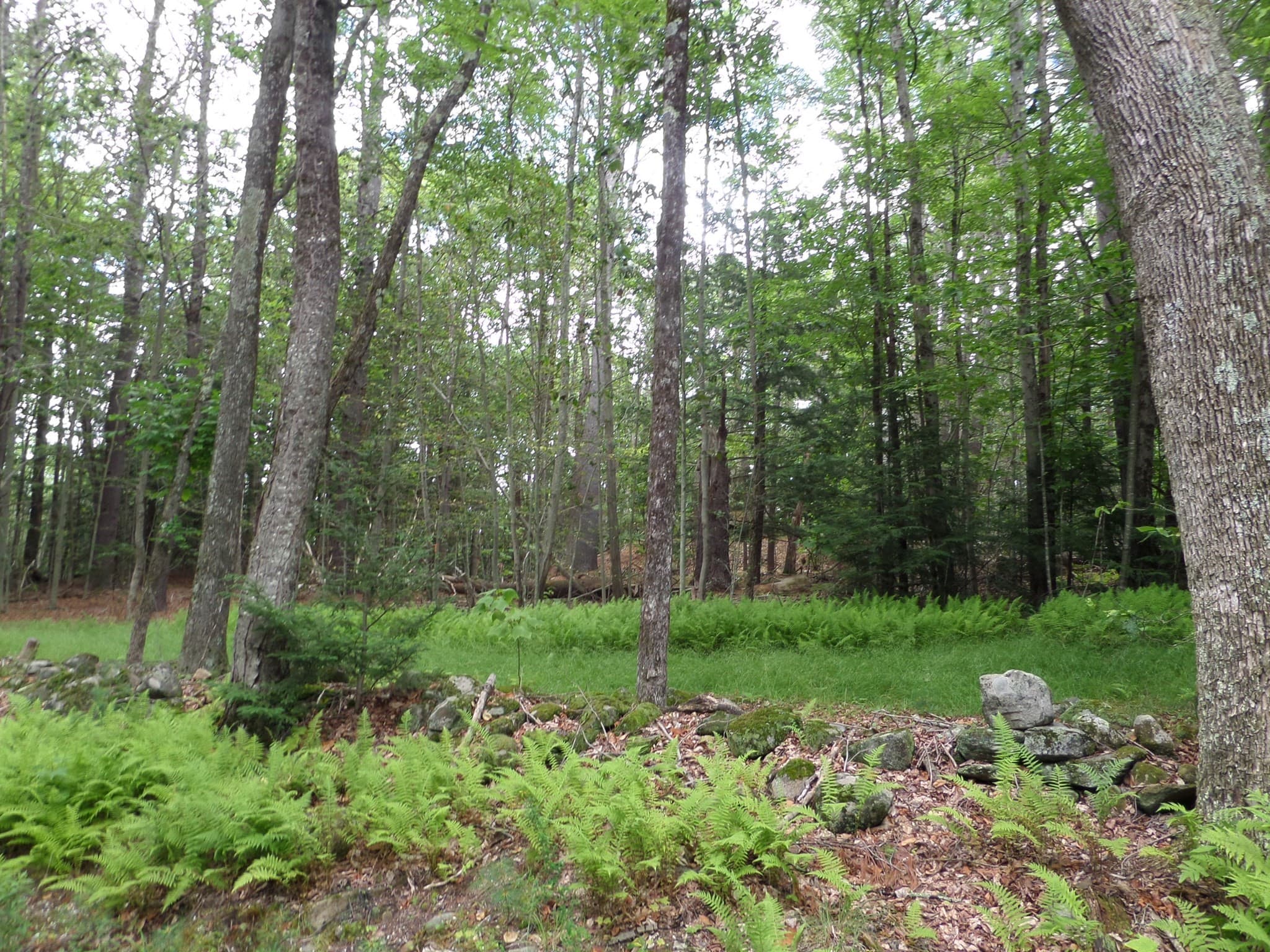 0 Pynchon Rd, Chesterfield MA 01012