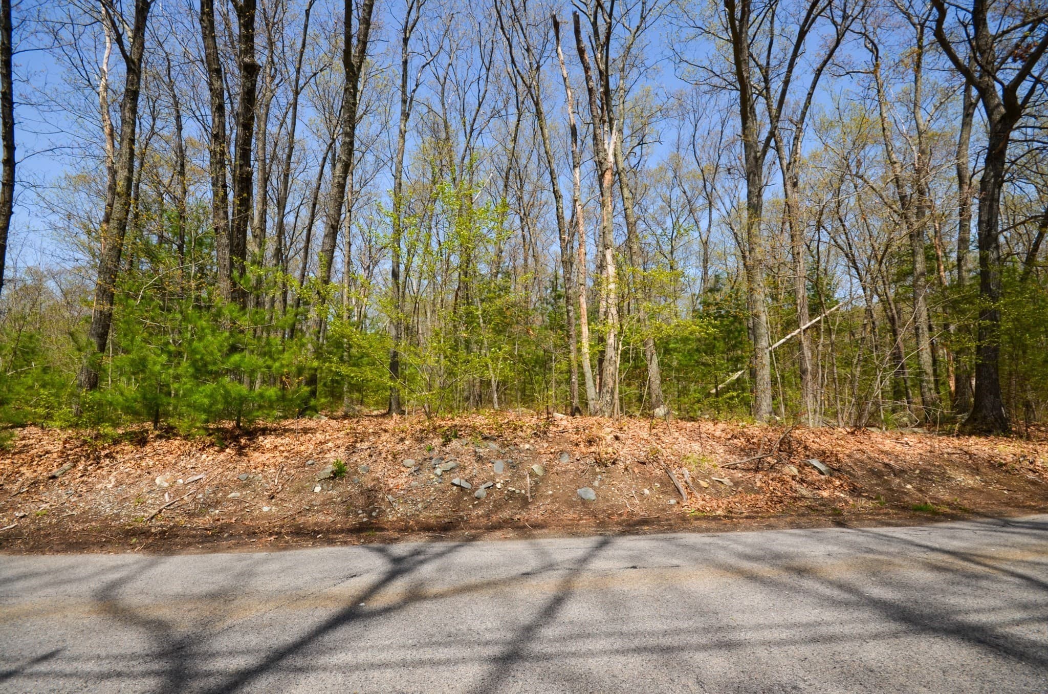 Residential at 69 East St, Grafton MA 01536, photo 12 of 15