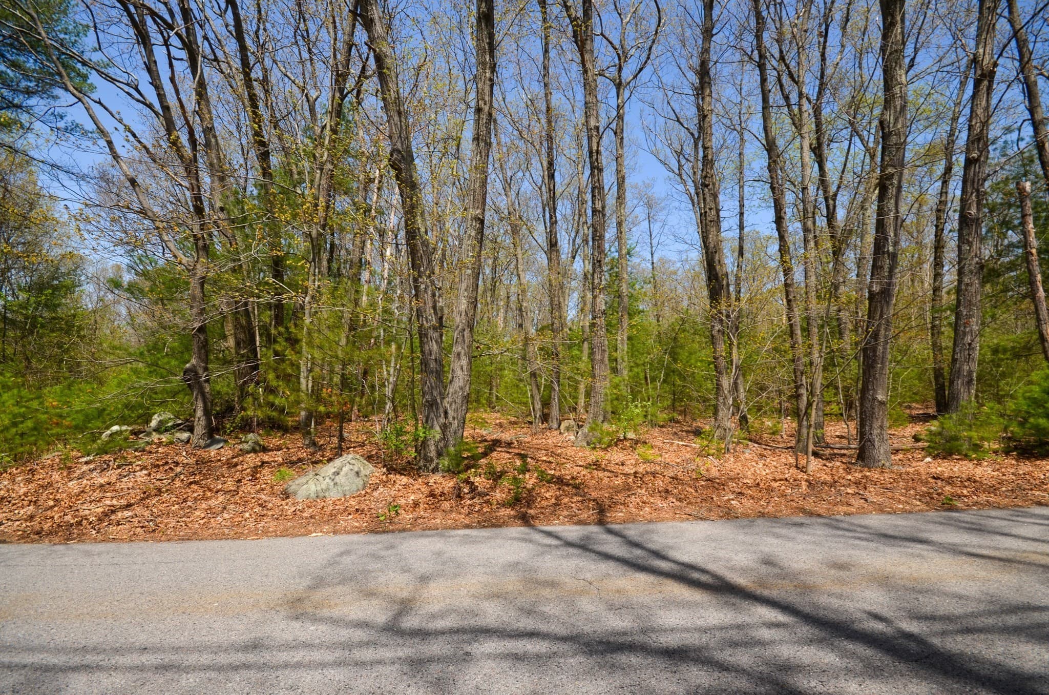 Residential at 69 East St, Grafton MA 01536, photo 11 of 15