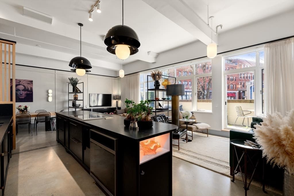 Condominium at 1180-1200 Washington St # 119, Boston MA 02118, photo 3 of 32