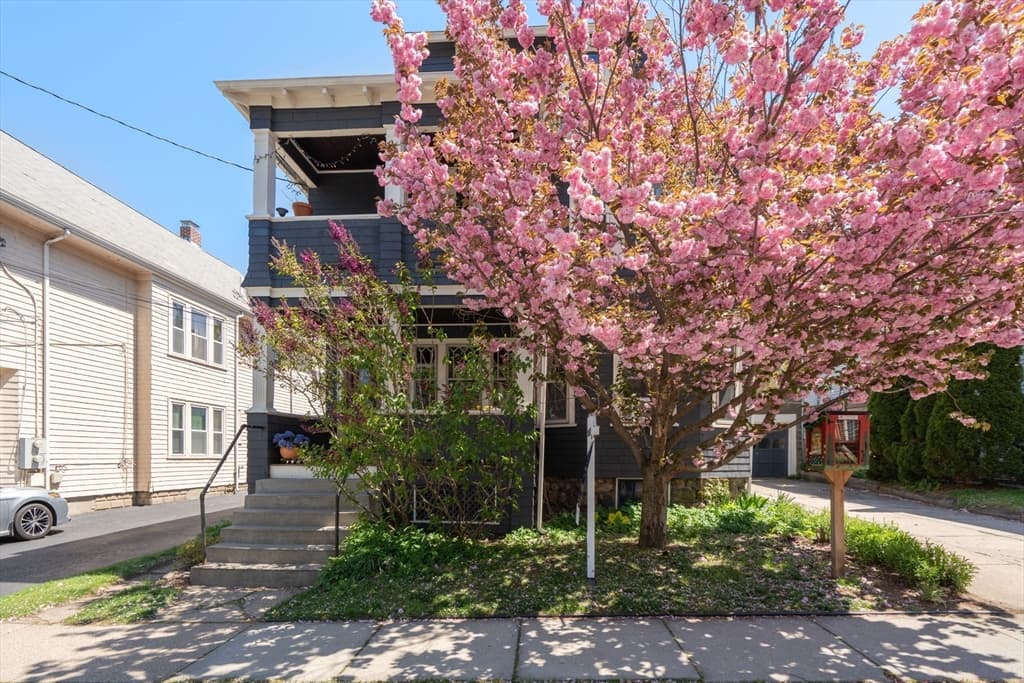 45 Springfield Street # 1, Belmont MA 02478