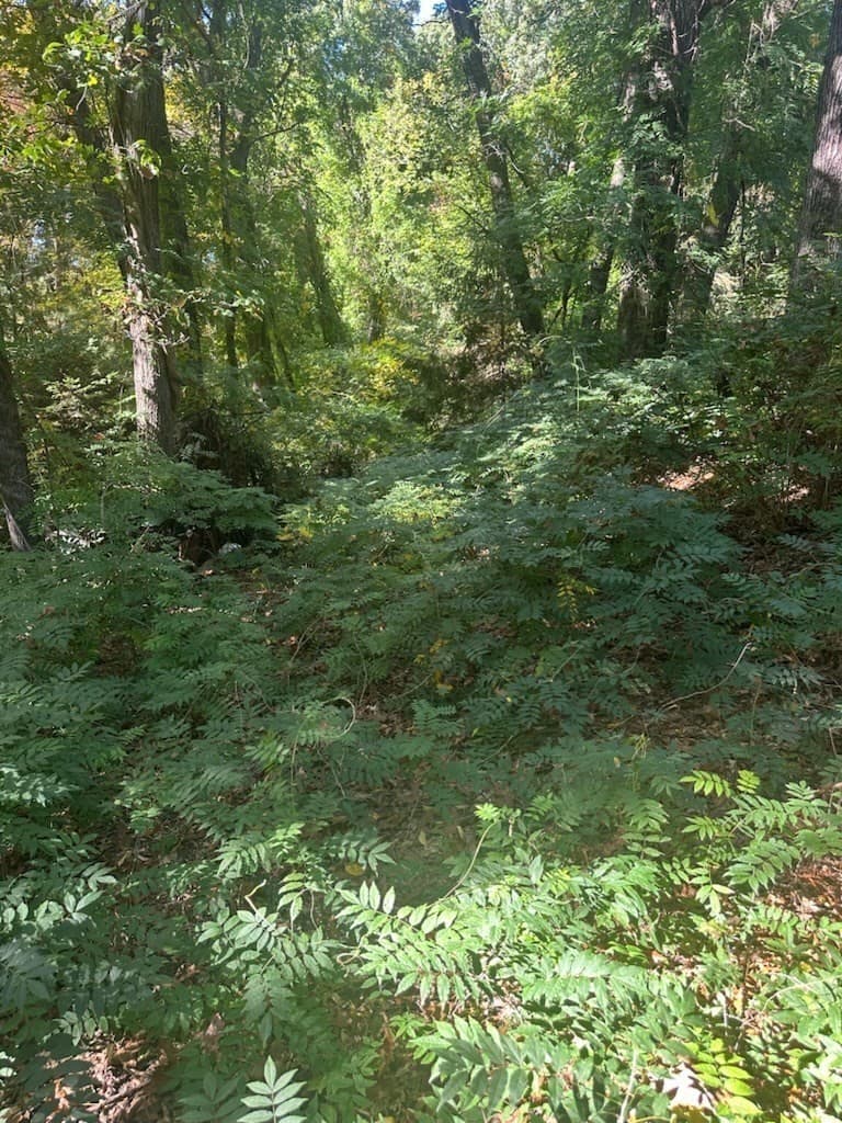 Single Family Residence at 201 Summer Street, Maynard MA 01754, photo 6 of 10