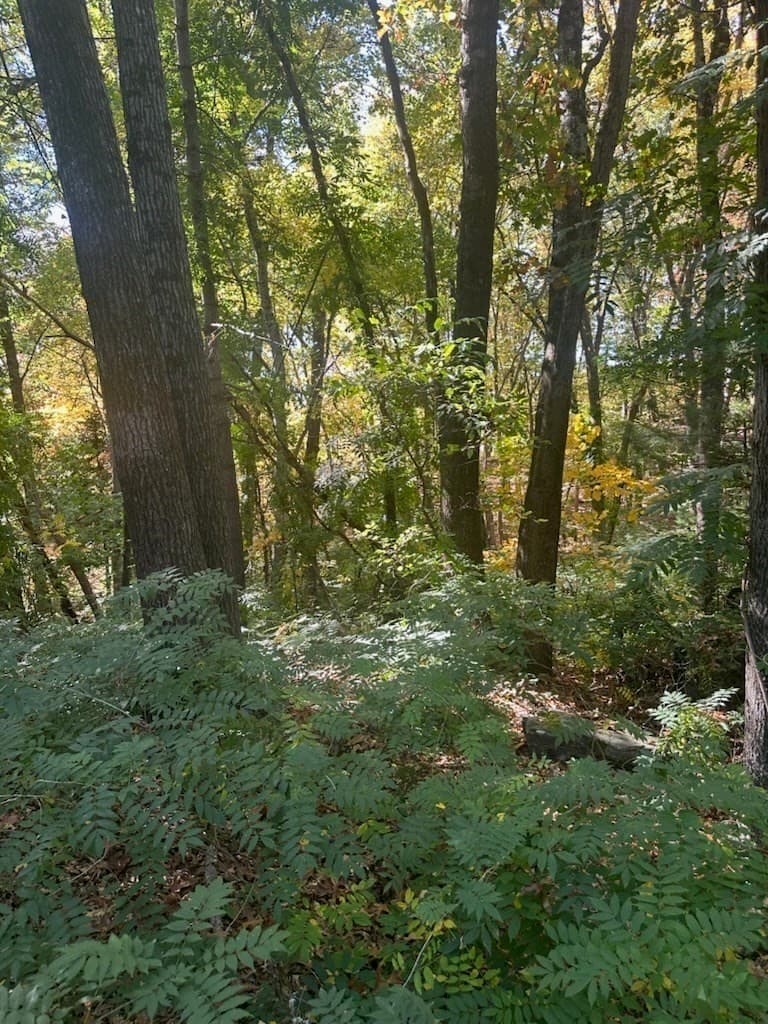 Single Family Residence at 201 Summer Street, Maynard MA 01754, photo 7 of 10