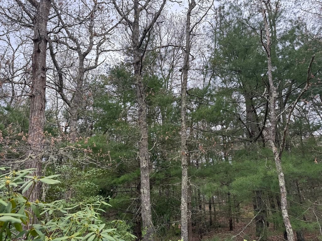 75 Newton St, Northborough MA 01532 photo 2