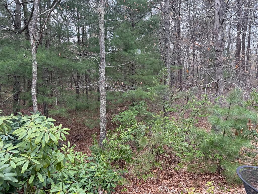 75 Newton St, Northborough MA 01532 photo 3