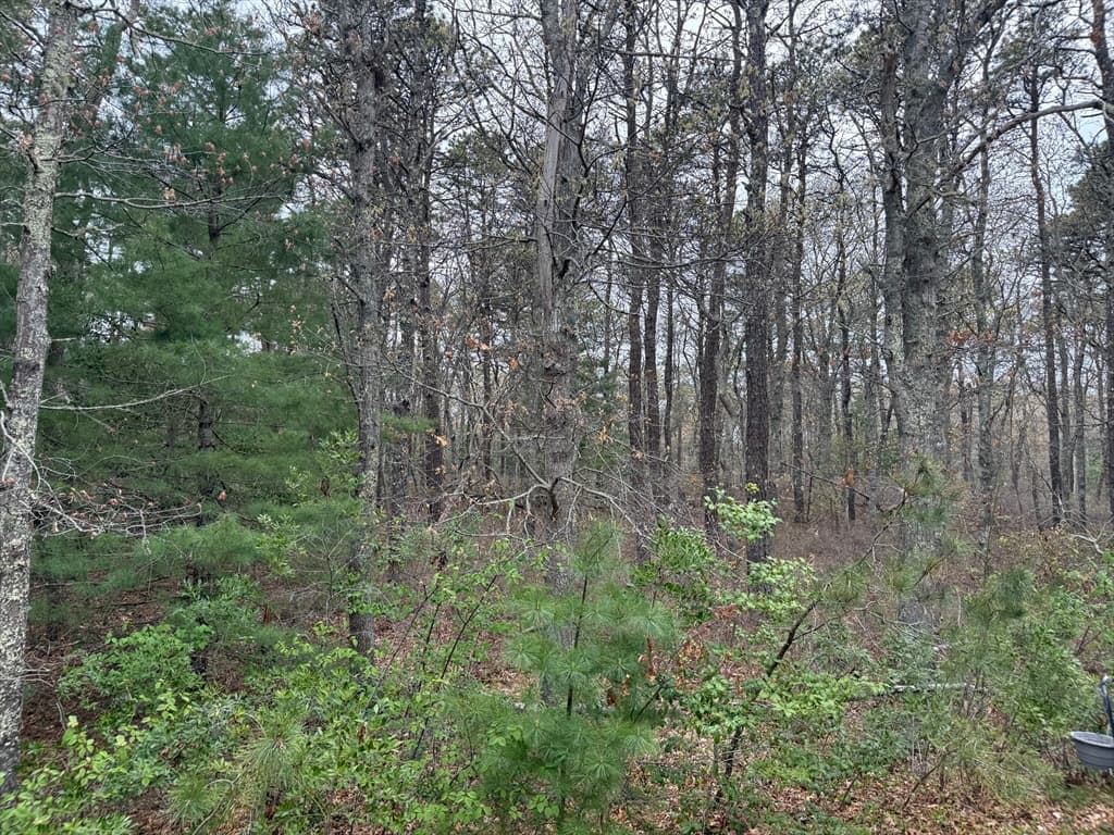 75 Newton St, Northborough MA 01532