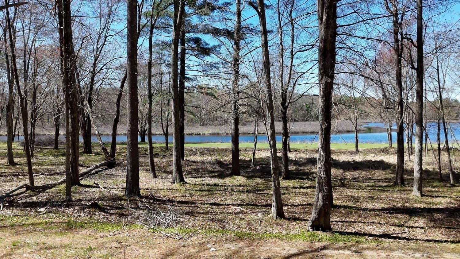 Residential at 0 Wildwood Rd, East Brookfield MA 01515, photo 21 of 38