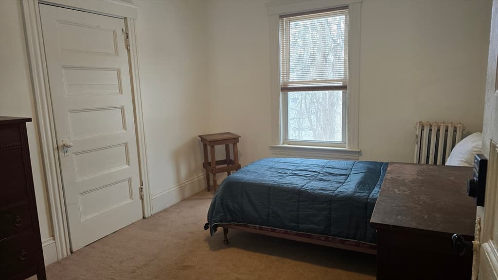 19 Denmark Street, Worcester MA 01606 photo 26
