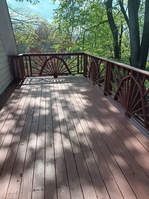 8 Montvale, Worcester MA 01609 photo 19