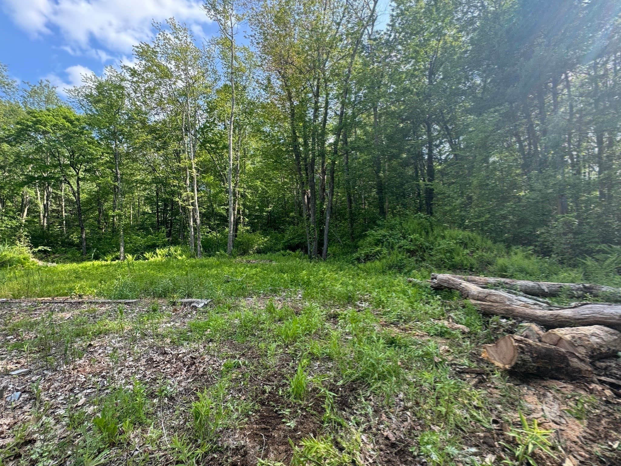 Residential at 50 Fountain Rd, Wales MA 01081, photo 18 of 20